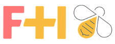 FH 5